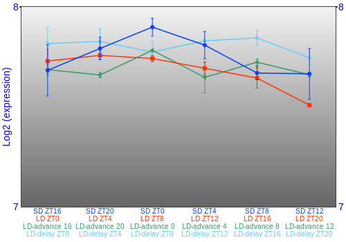 Expression graph