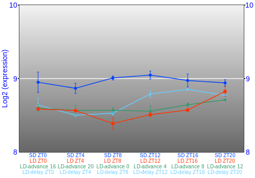 Expression graph
