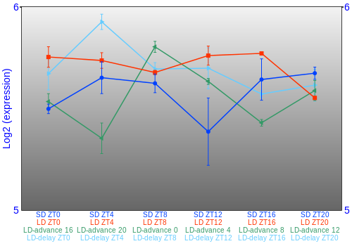 Expression graph