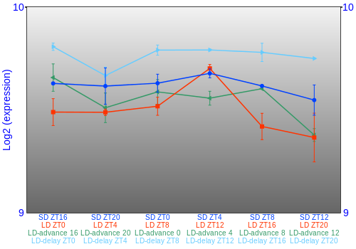 Expression graph