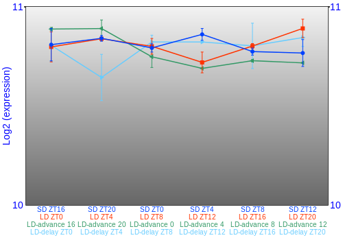 Expression graph