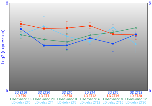 Expression graph