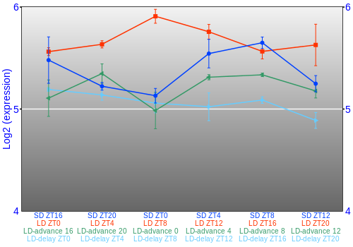 Expression graph