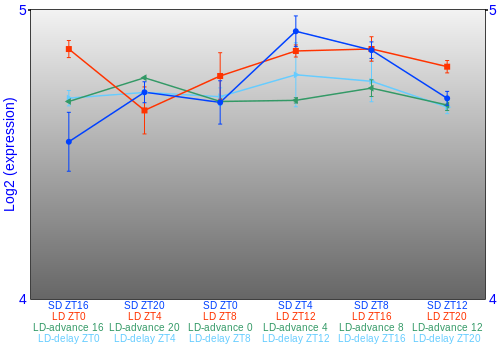 Expression graph