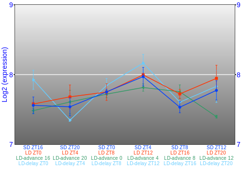 Expression graph