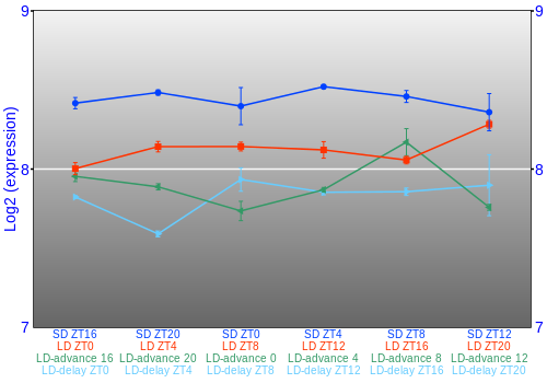 Expression graph