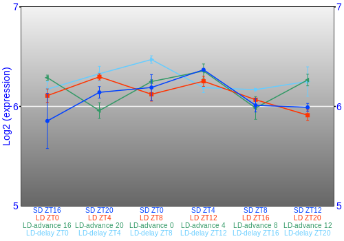 Expression graph