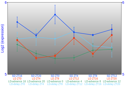 Expression graph