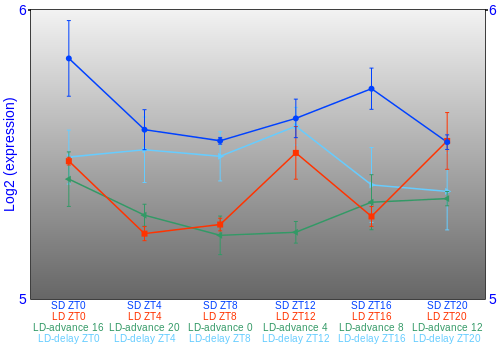 Expression graph