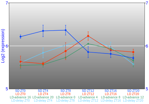 Expression graph