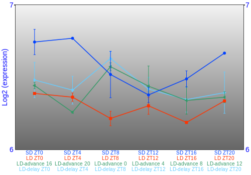 Expression graph