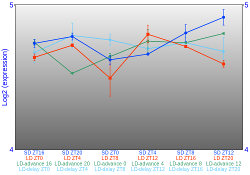 Expression graph