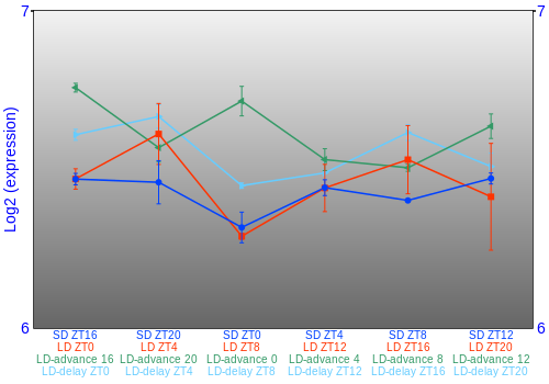 Expression graph