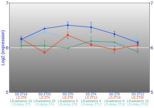 Expression graph