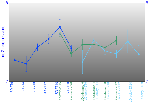 Expression graph