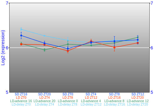 Expression graph