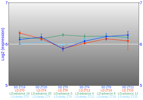 Expression graph