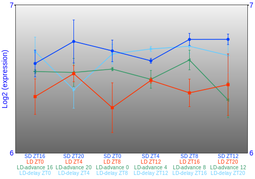 Expression graph