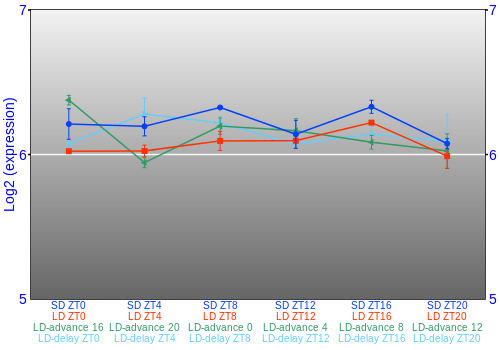 Expression graph
