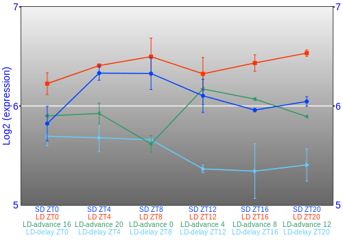 Expression graph