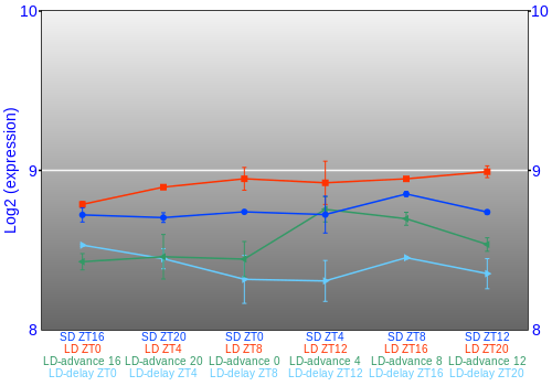 Expression graph