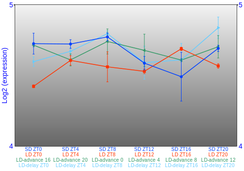 Expression graph