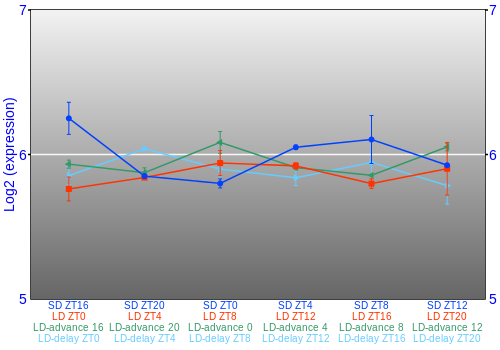 Expression graph