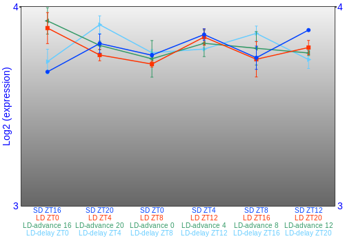 Expression graph