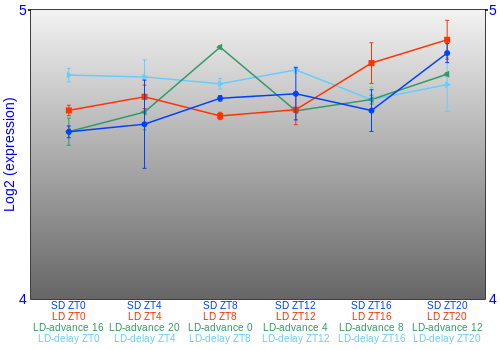 Expression graph