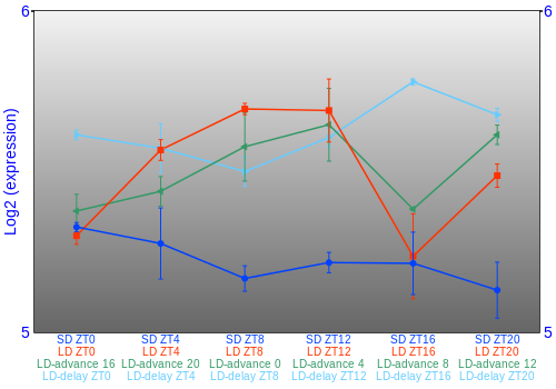 Expression graph