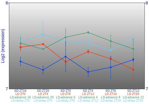 Expression graph