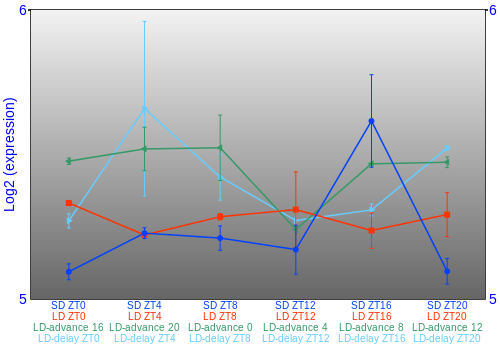 Expression graph