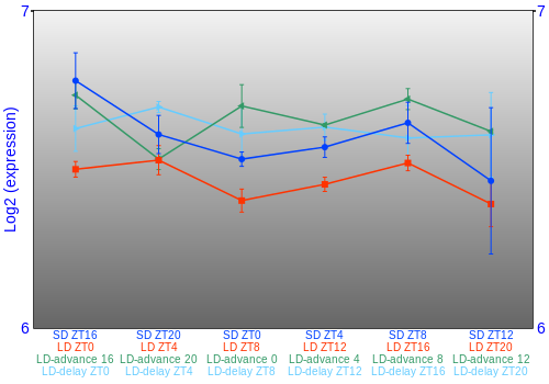 Expression graph