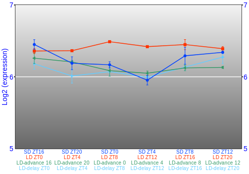 Expression graph