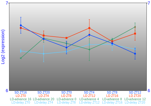 Expression graph