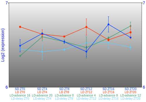 Expression graph