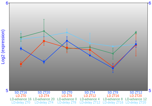 Expression graph
