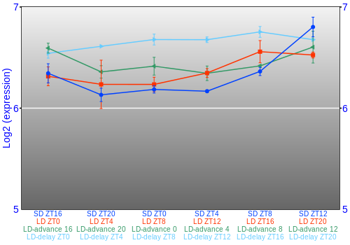 Expression graph