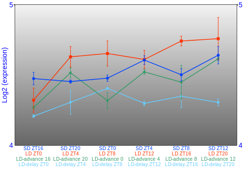 Expression graph