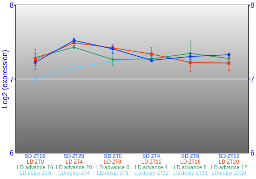 Expression graph