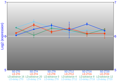 Expression graph
