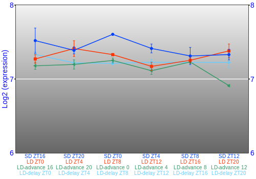 Expression graph