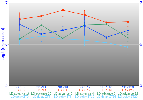 Expression graph