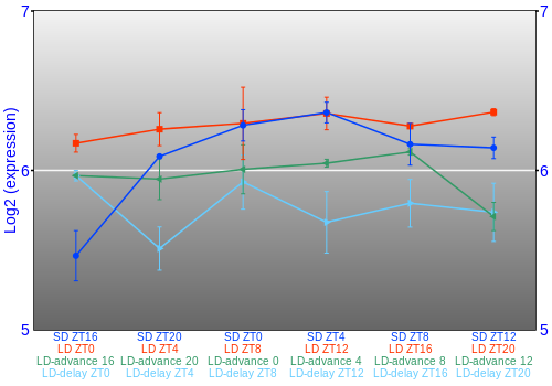 Expression graph