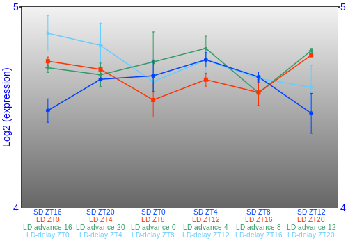 Expression graph