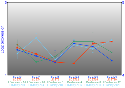 Expression graph