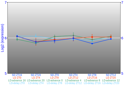 Expression graph