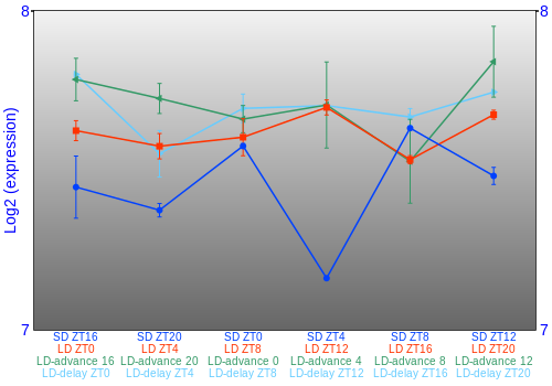 Expression graph