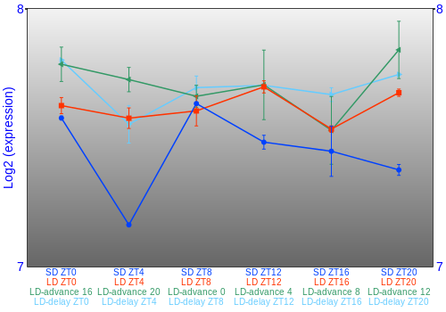 Expression graph