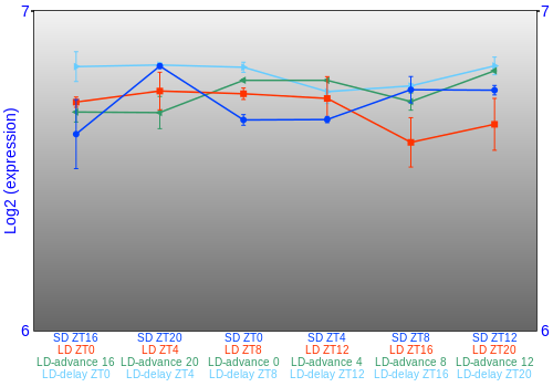Expression graph